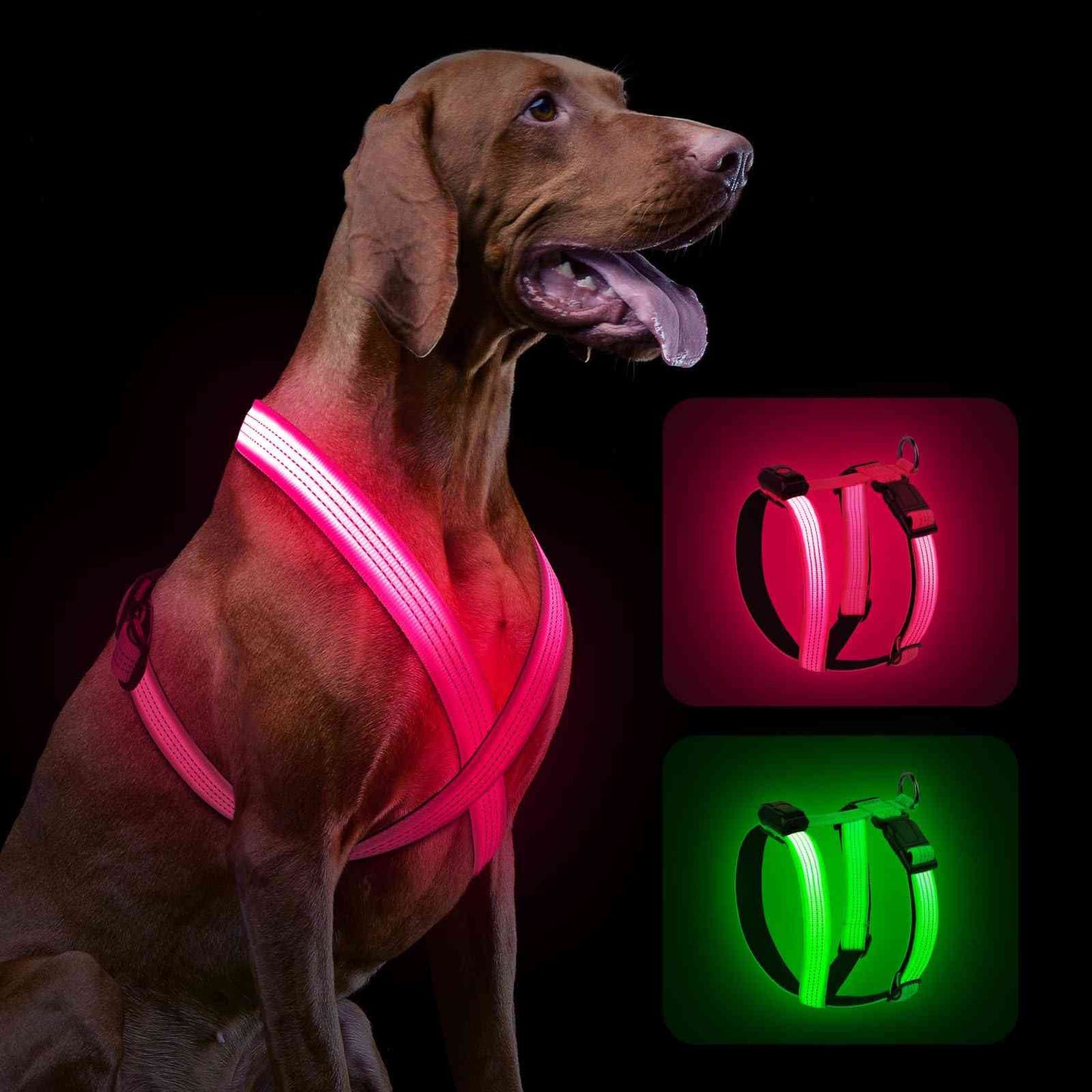 Close-up of a pink glowing LED dog harness with adjustable straps and reflective features, displayed on a black background