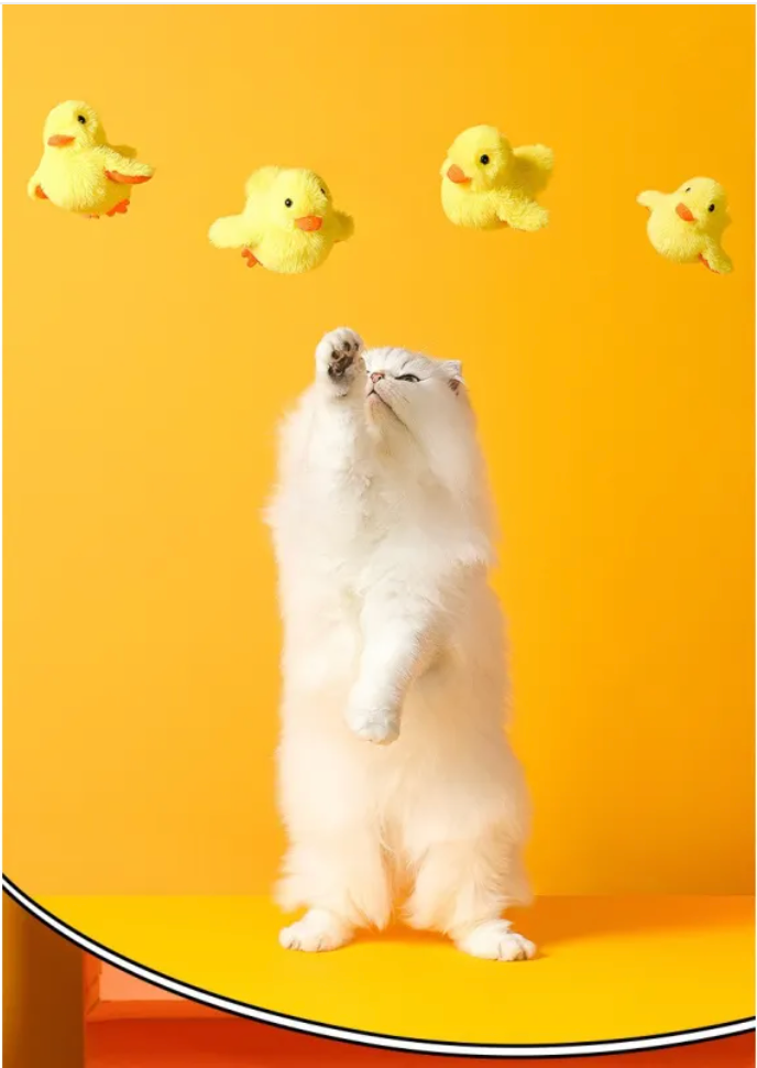 Automatisches elektrisches Enten-Katzenspielzeug