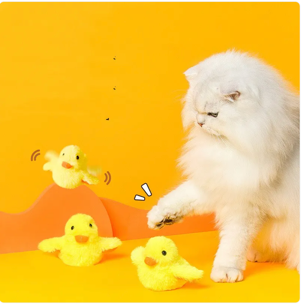 Automatisches elektrisches Enten-Katzenspielzeug