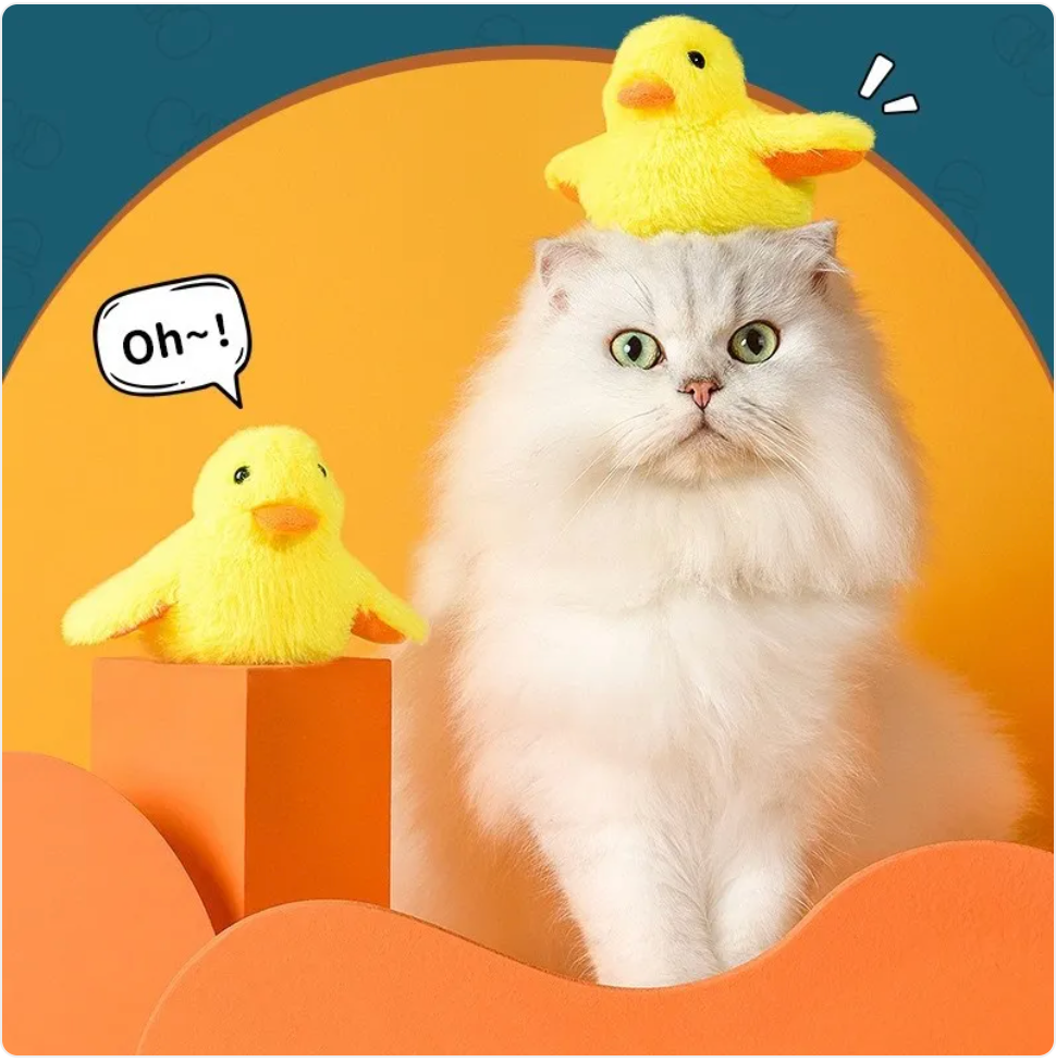 Automatisches elektrisches Enten-Katzenspielzeug