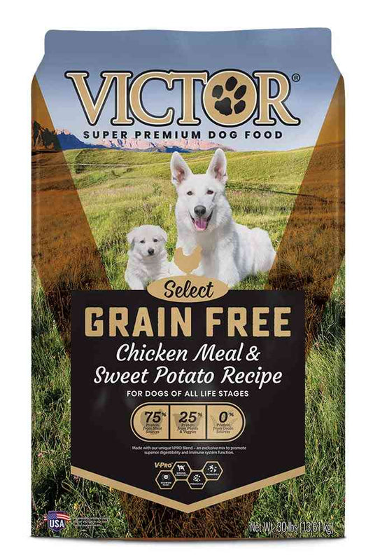 Victor grain free high protein dog food bag with white dog and puppy in a green field, featuring chicken meal and sweet potato recipe, 30 lbs