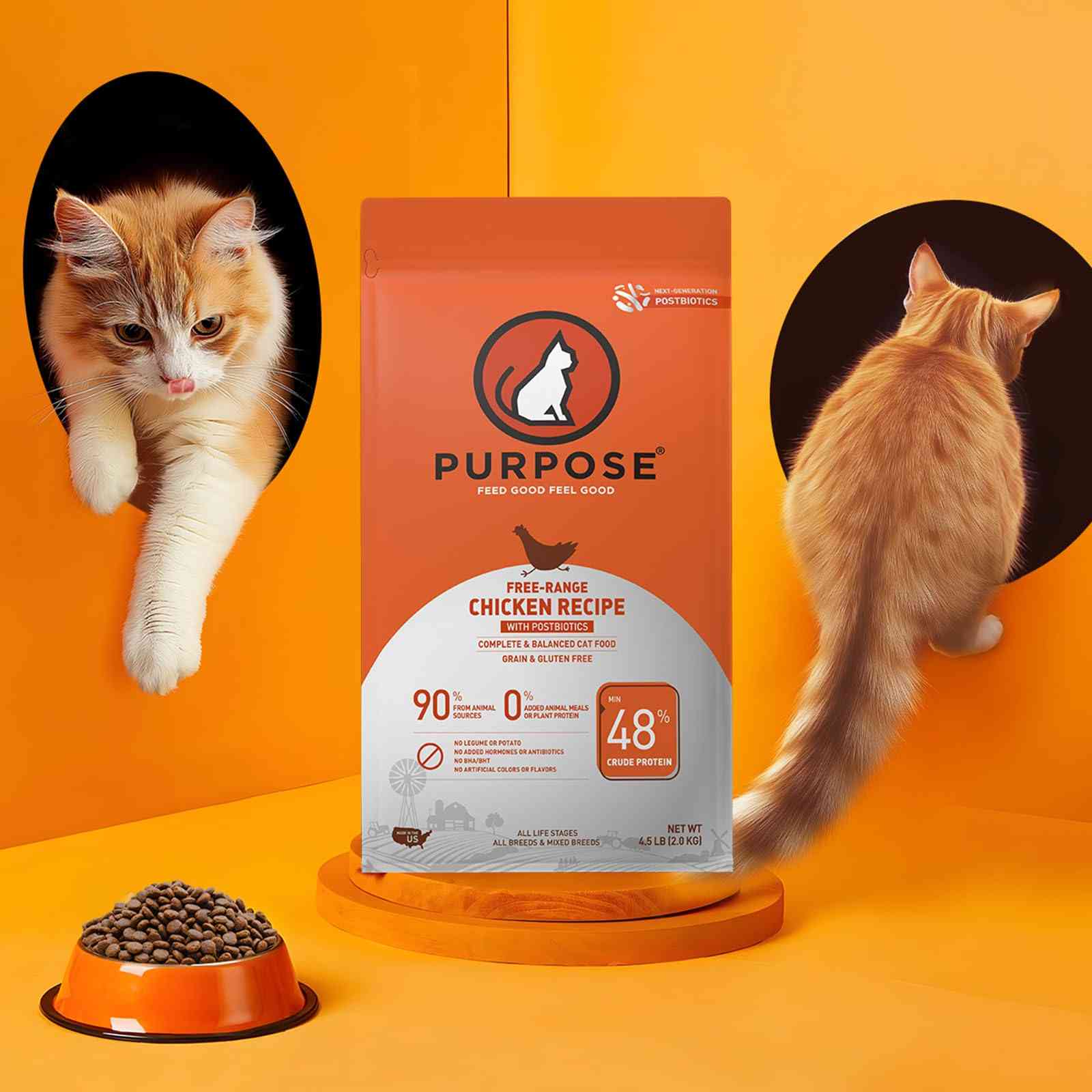 Orange bag of PURPOSE natural dry cat food with chicken recipe, grain free, protein rich, featuring postbiotics, on orange background with a cat peeking through black oval cutout